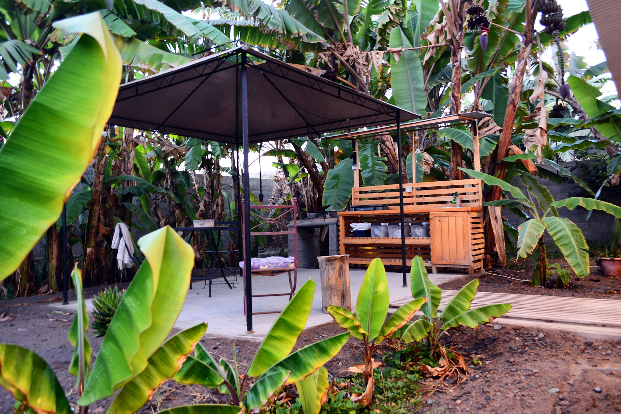 Gazebo y cocina exterior entre las platanares